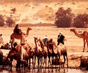 Facts about the Sahel Desert