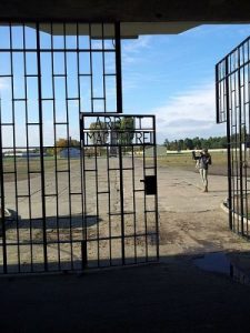 Sachsenhausen Concentration Camp Facts
