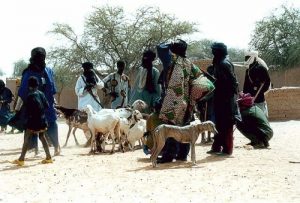 the Sahel Desert Facts